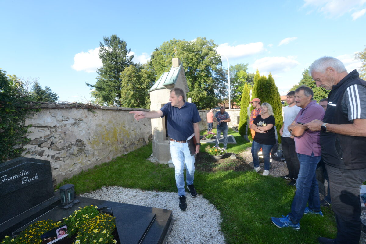 Bauausschuss plant Sanierungen und Baumkontrollen in Pleystein