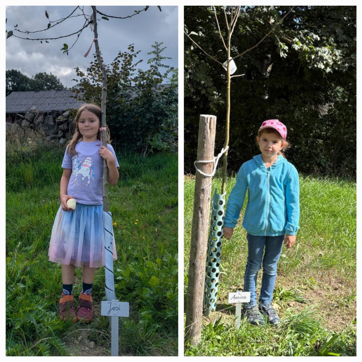 Ein Baum fürs Leben für Schulkinder in Burkhardsrieth