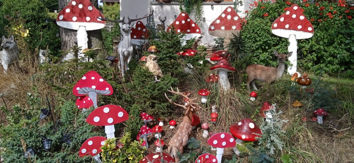 Fliegenpilze verzaubern Märchengarten in Floß