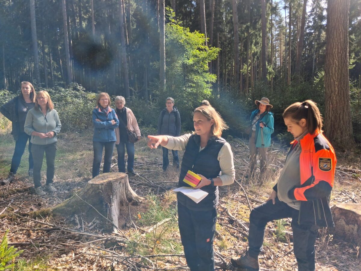 Frauen gestalten Zukunftswald beim Waldfrauentag in Mitterteich