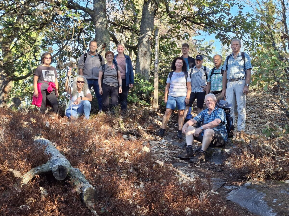 Goldsteig-Wanderung begeistert OWV-Mitglieder in Georgenberg