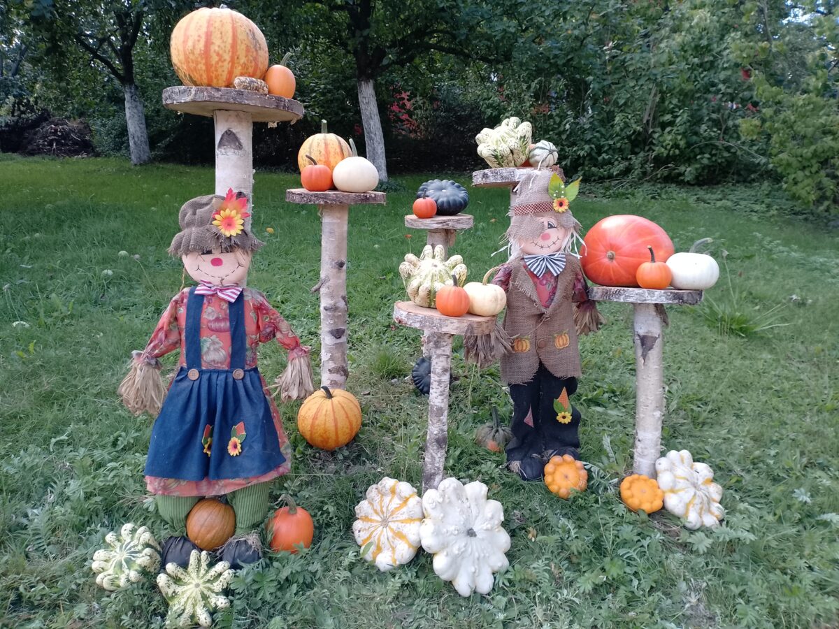 Herbstzauber im Bauerngarten begeistert in Haselbrunn