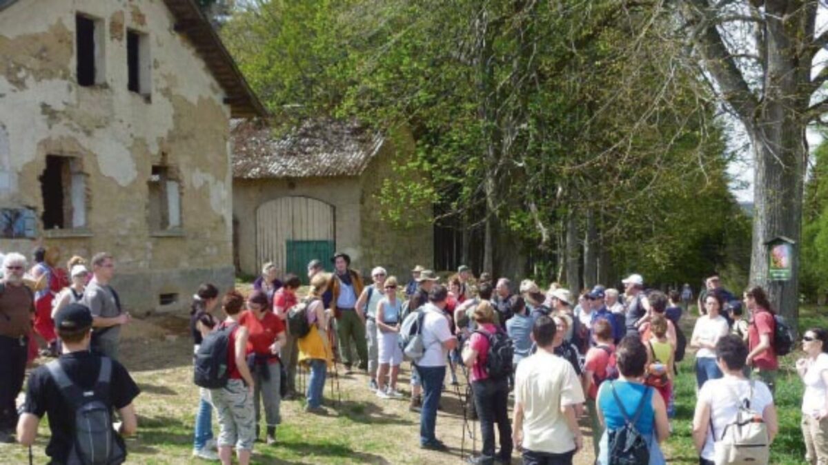 Geführte Grenzwanderung von Bärnau nach Tachov auf der Goldenen Straße