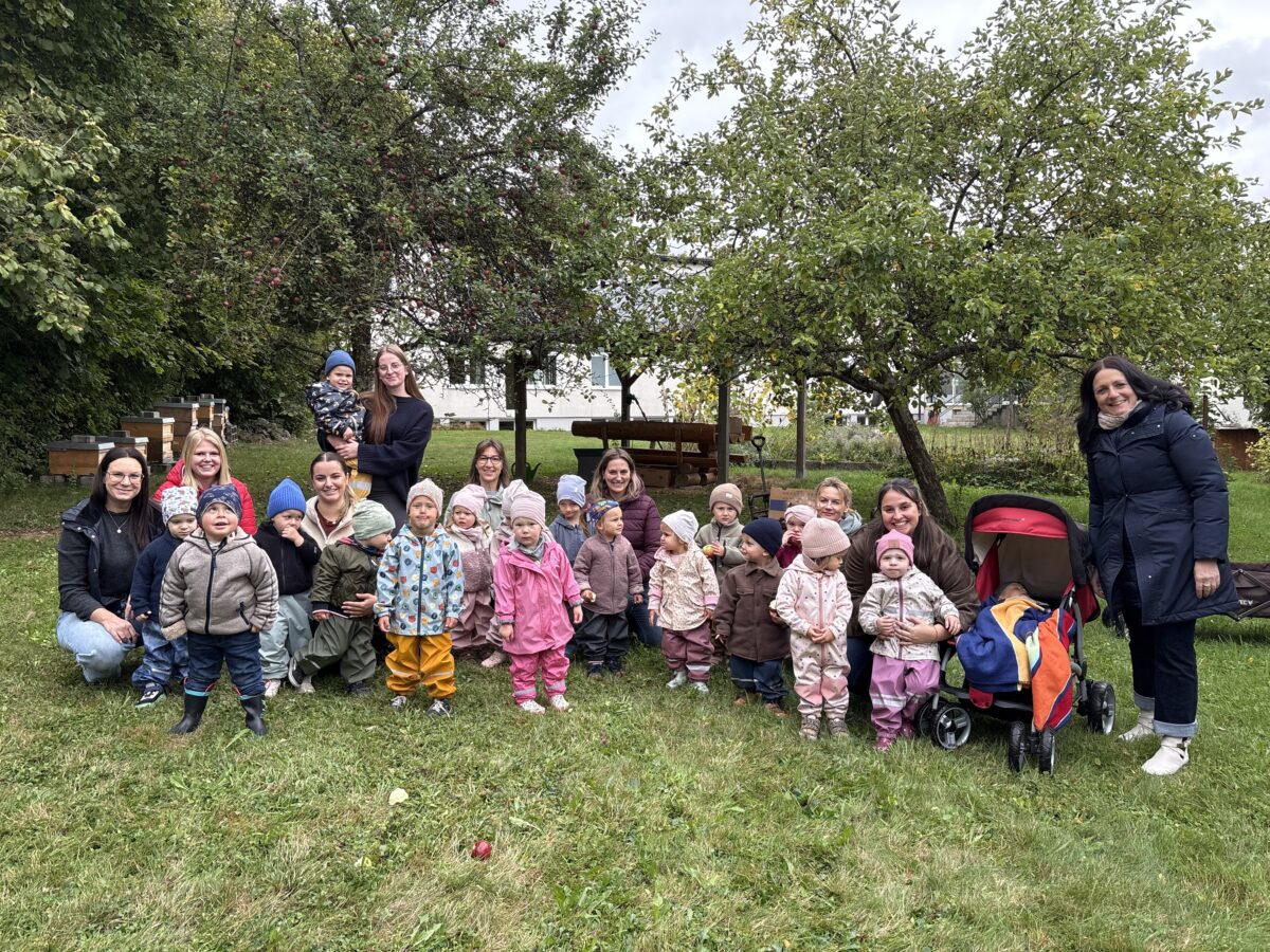 Krippenkinder ernten Äpfel im Schulgarten in Tirschenreuth