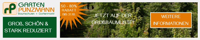 Garten Punzmann – Bäume