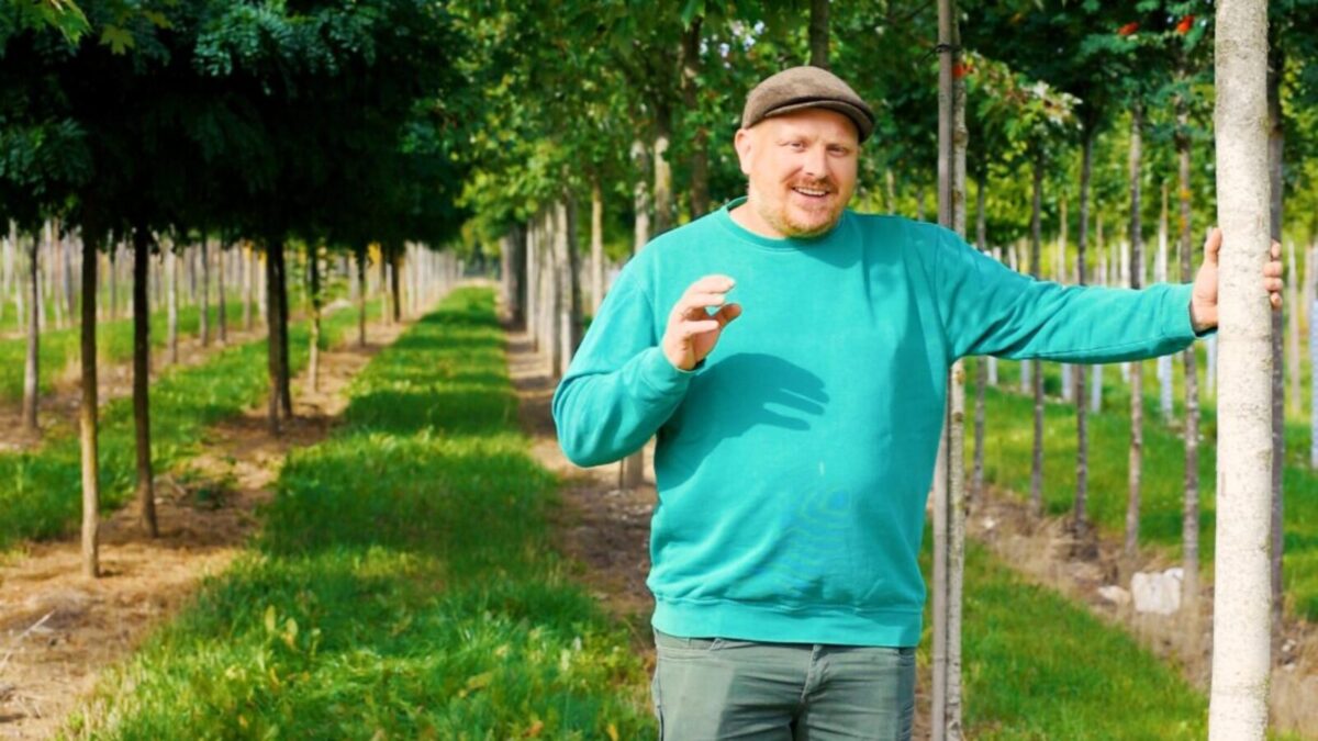 Bei Garten Punzmann gibt's den natürlichen Sonnenschirm zum Schnäppchenpreis