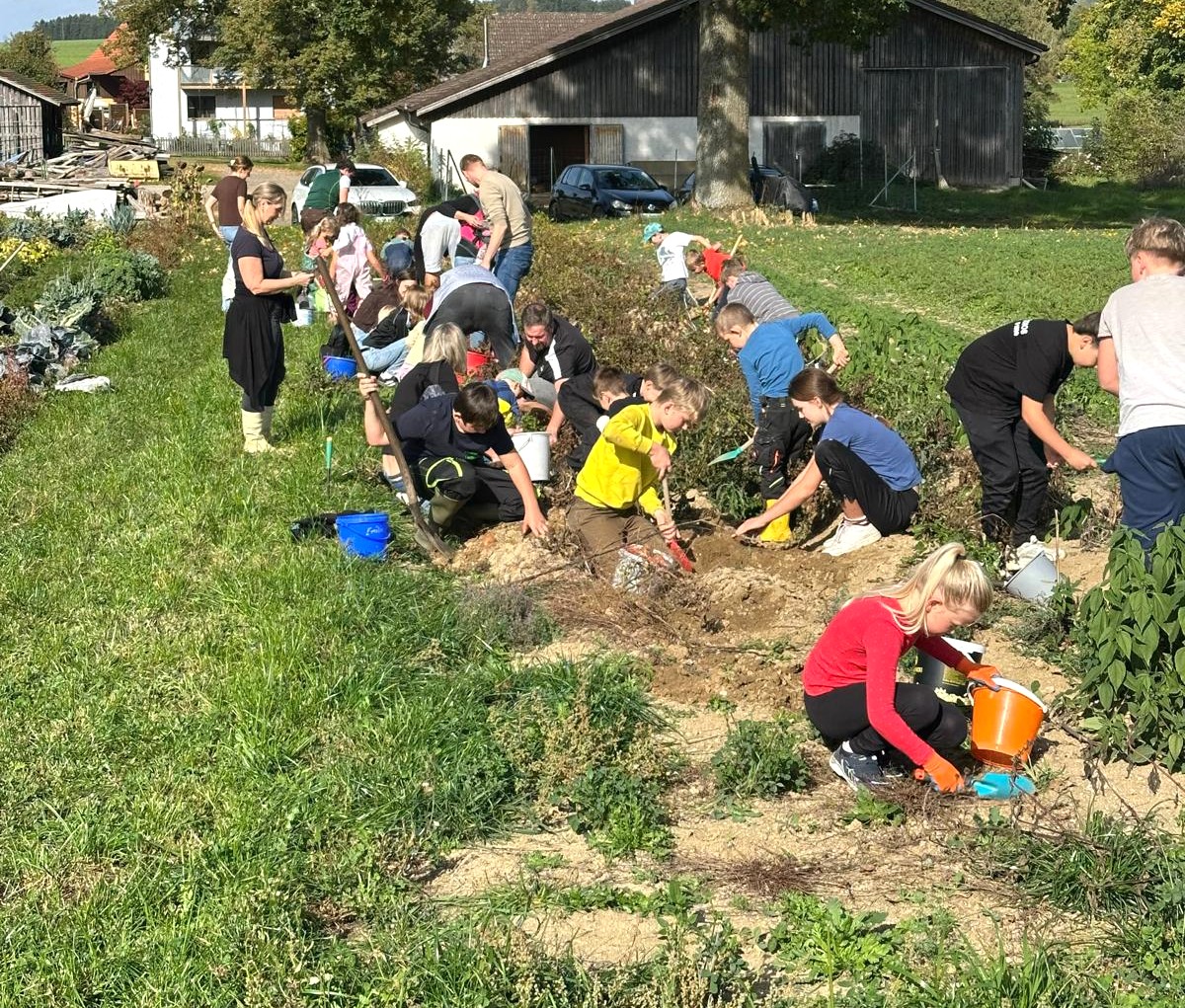 Katholisches Landvolk gräbt in der Erde