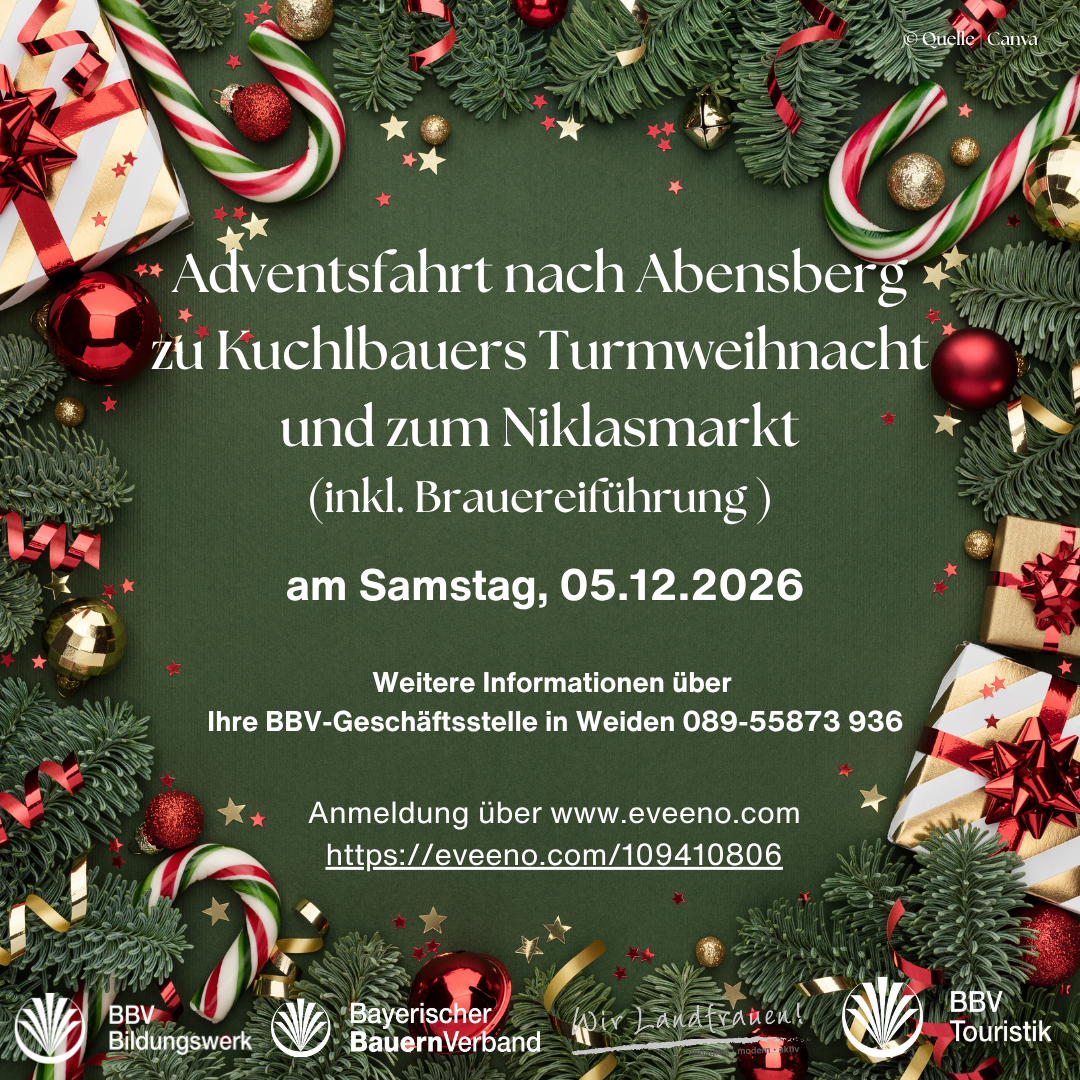 Lehrfahrt nach Abendsberg zu Kuchlbauers Trumweihnacht sowie zum Niklasmarkt im Schlossgarten