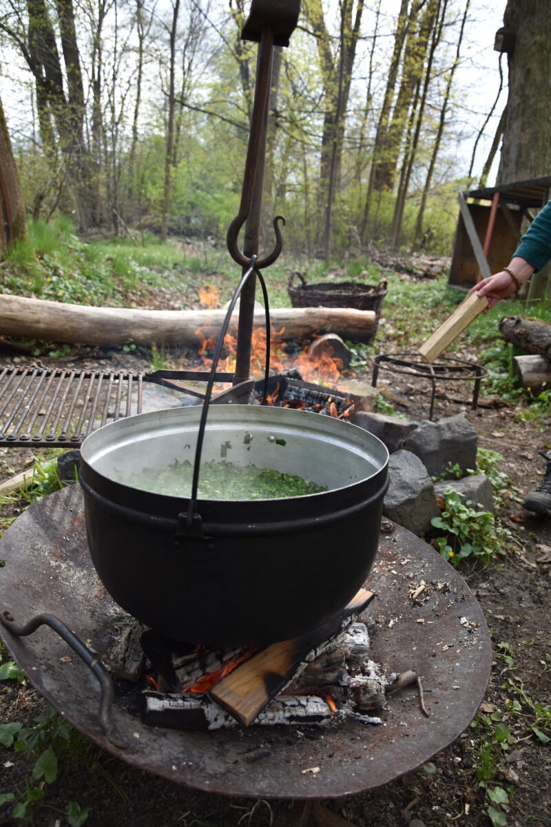 Neuer Zertifikatslehrgang - Wenn Outdoorküche Gourmet trifft