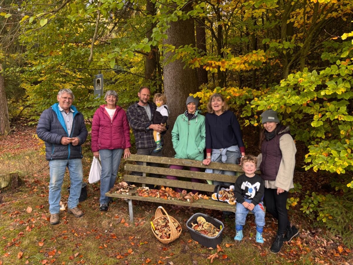 Fette Pilzbeute bei OWV-Schwammerltour in Georgenberg