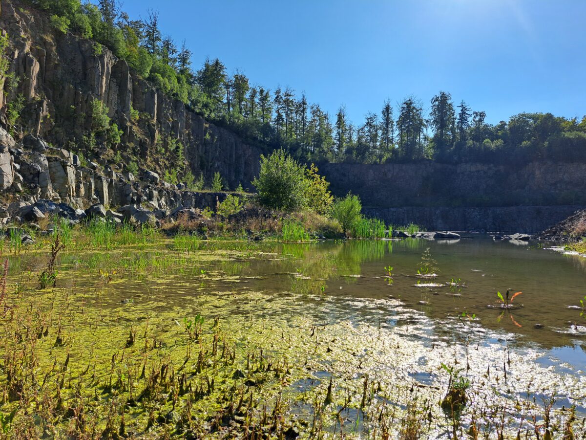 Geologische Schätze des Stiftlands per Busexkursion ab Vohenstrauß