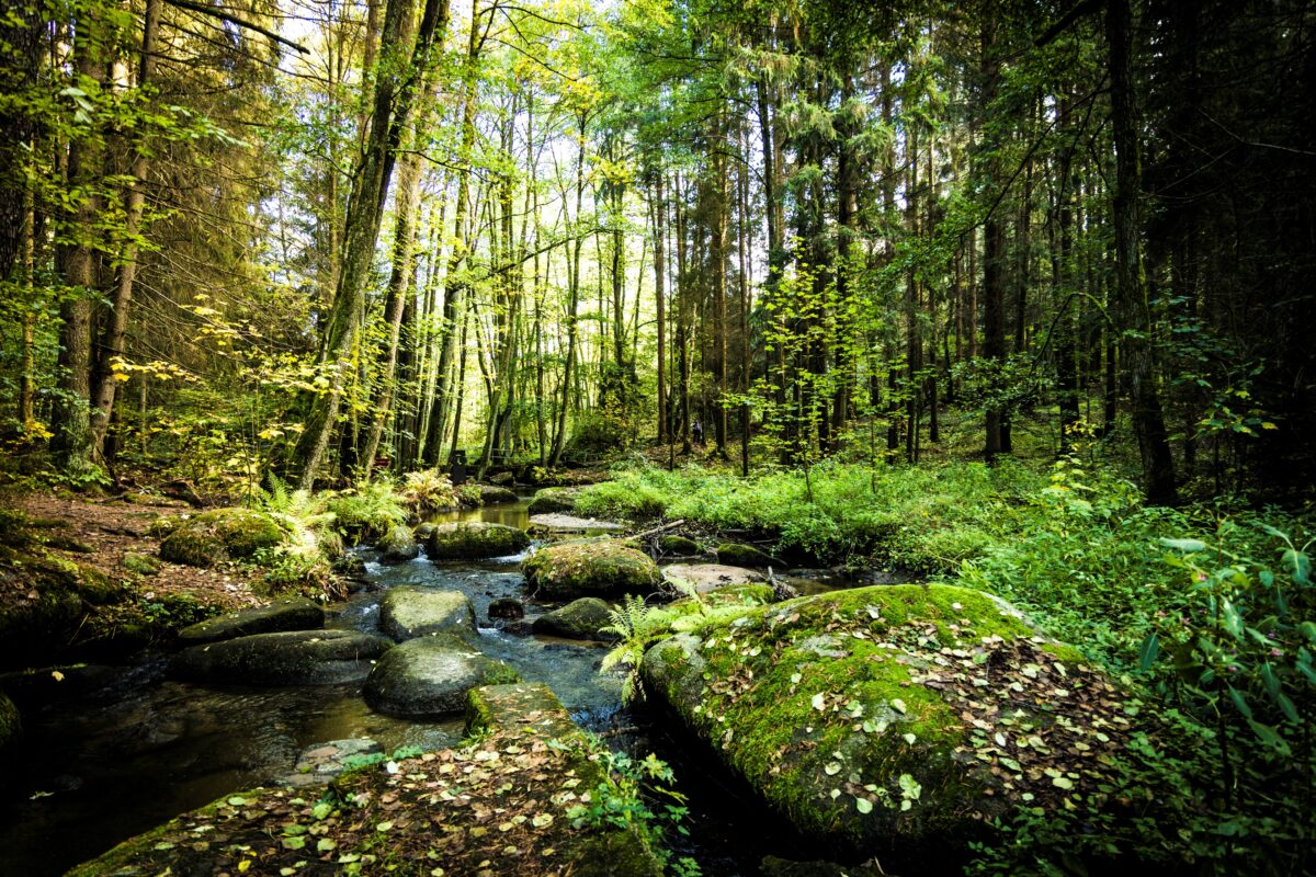 _MG_2019_Lerautal_Thomas Kujat.jpg