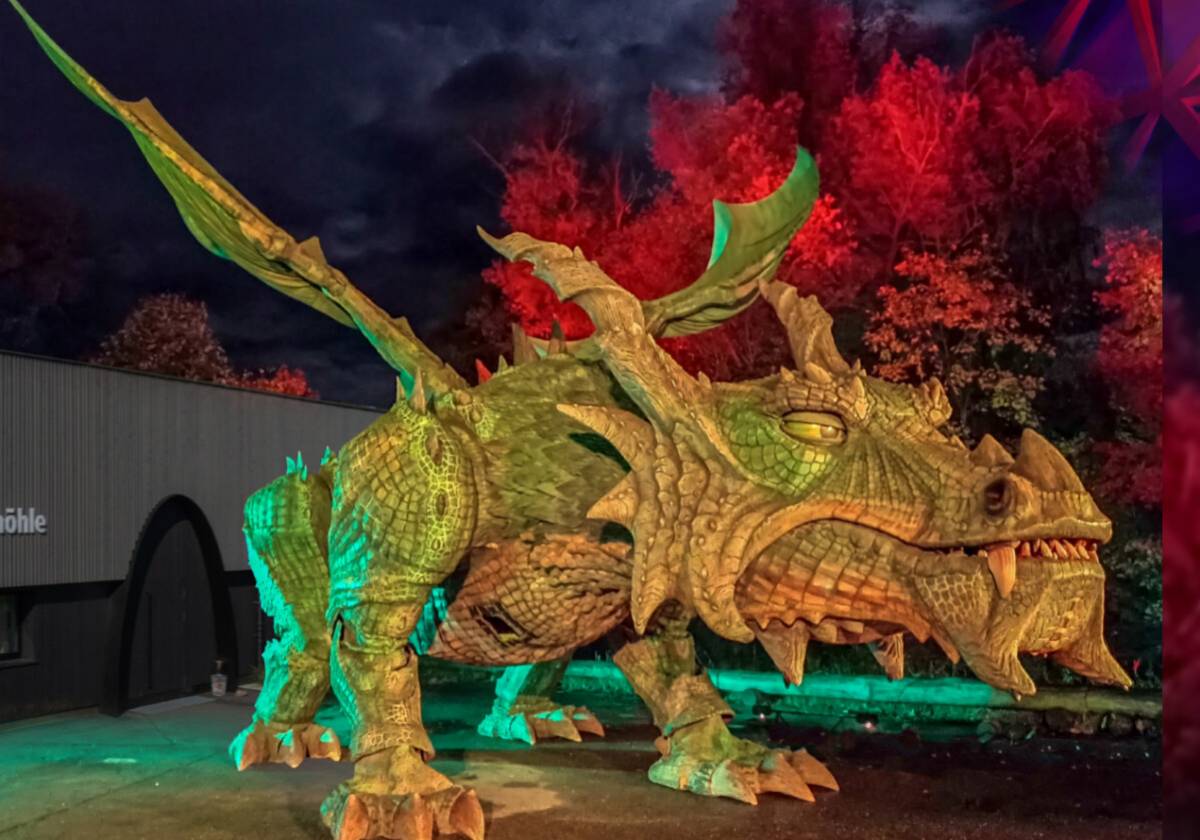 Magischer Abend: Nacht des Drachen begeistert Furth im Wald