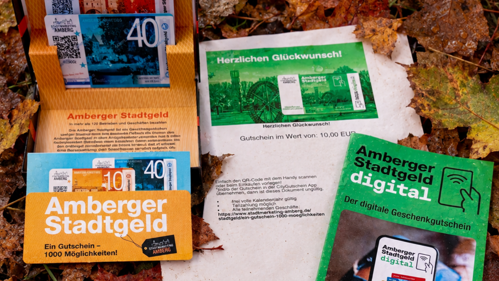 Stadtgeld analog und digital, Zorka Dotto.png