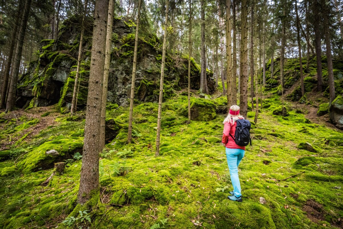 BR-Wandertouren 2027 erkunden den Oberpfälzer Wald