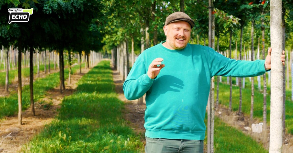 At Garten Punzmann, you can get the natural parasol at a bargain price
