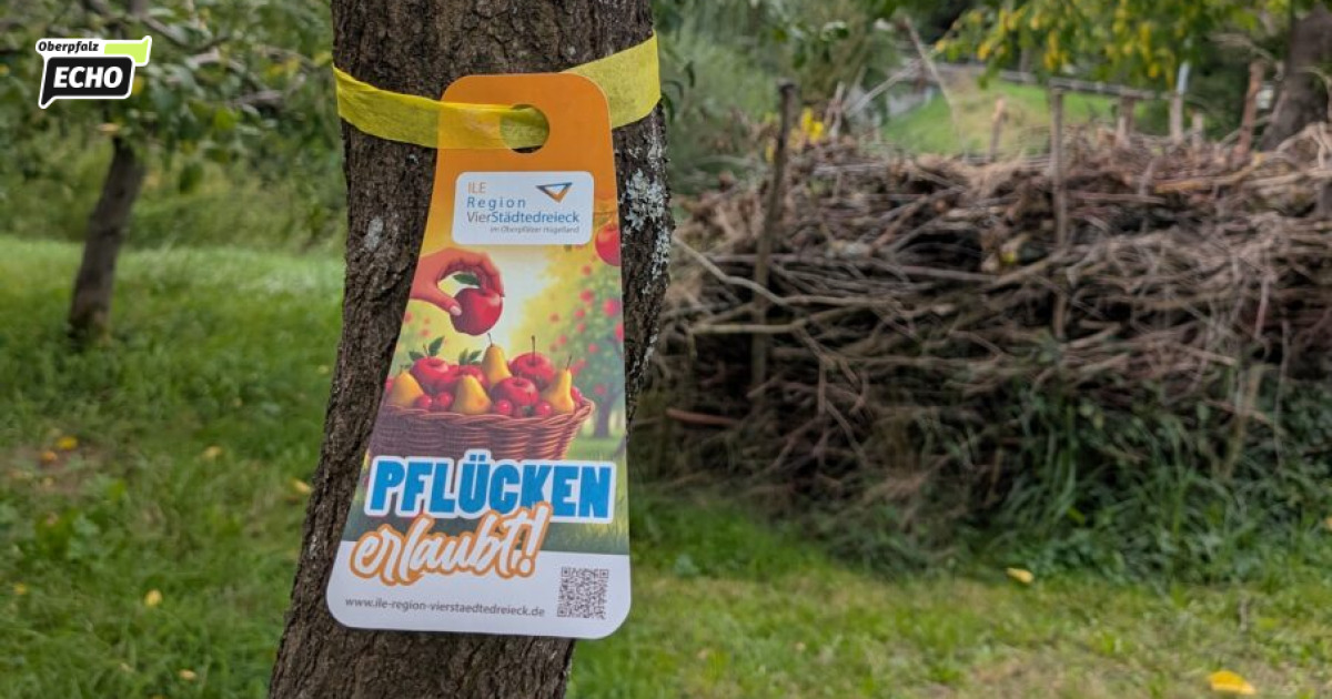 Ten municipalities, one common symbol: Yellow ribbons point the way to ...