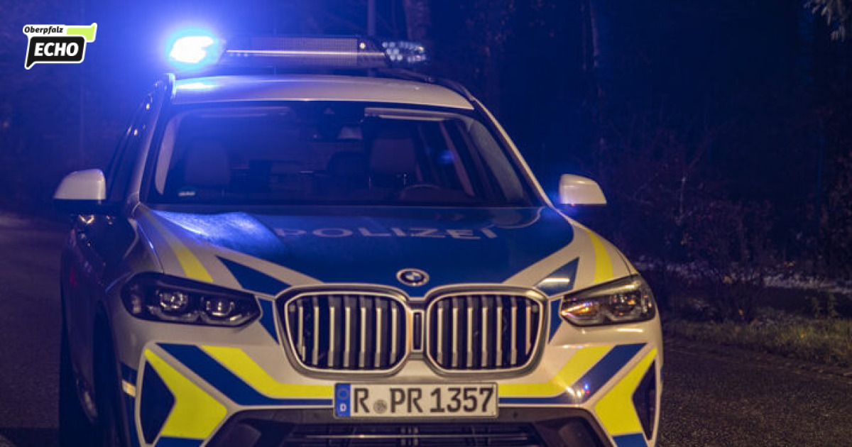 Border police on the A6: Suspected stolen goods, fake license plates and ...