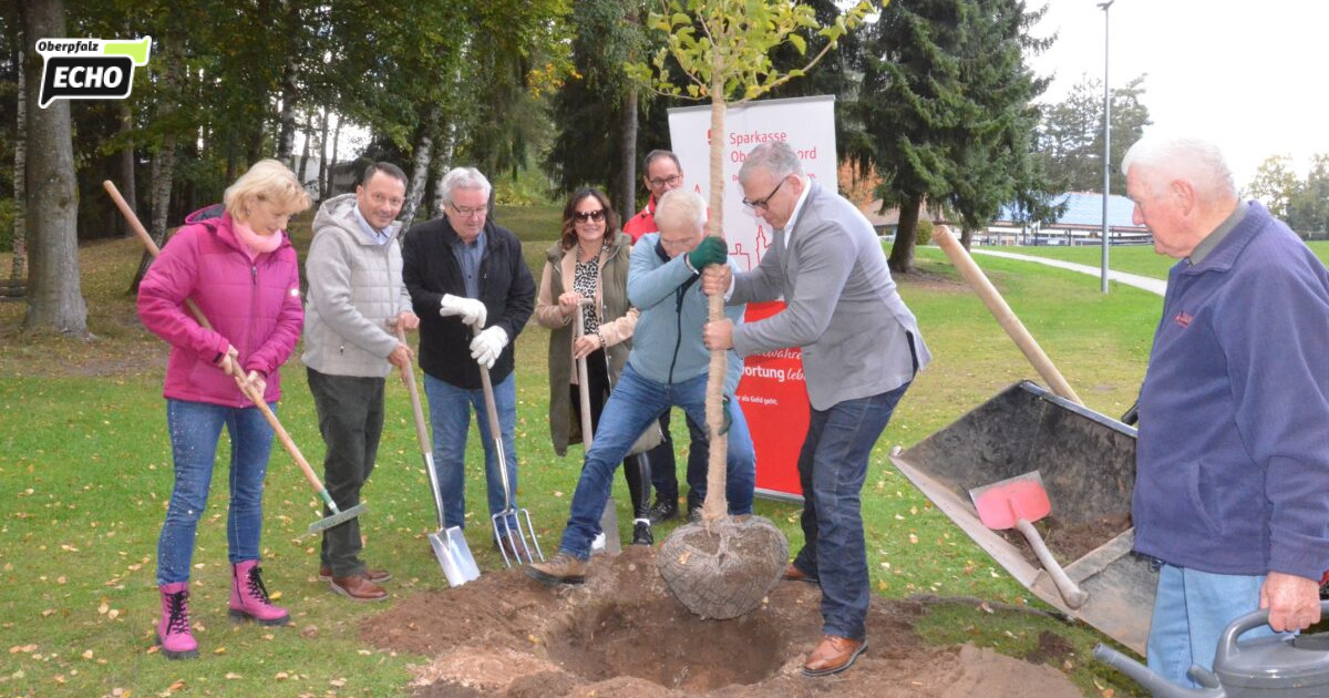 Einheitsbuddeln 2026: Weiden macht mit im Schätzlerbad