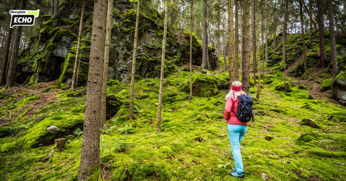BR-Wandertouren 2027 erkunden den Oberpfälzer Wald