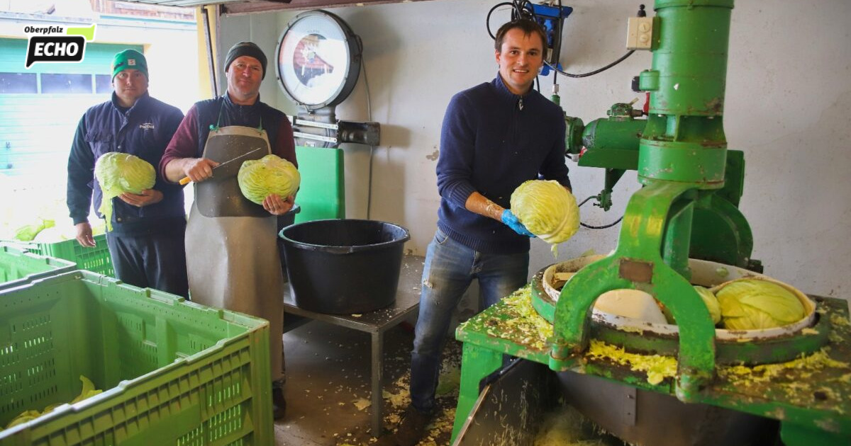 Farmers' Market at Beutnerhof: Fresh Dotsch and Seasonal Vegetables
